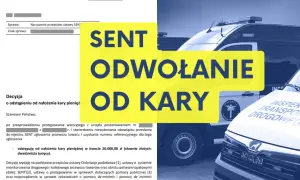 Jak skutecznie złożyć apelację co do kary i uniknąć błędów