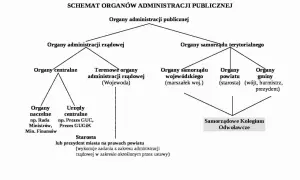 Czy sąd jest organem administracji publicznej? Odkryj kluczowe różnice