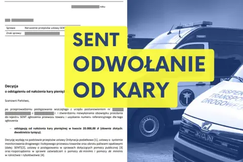 Jak skutecznie złożyć apelację co do kary i uniknąć błędów