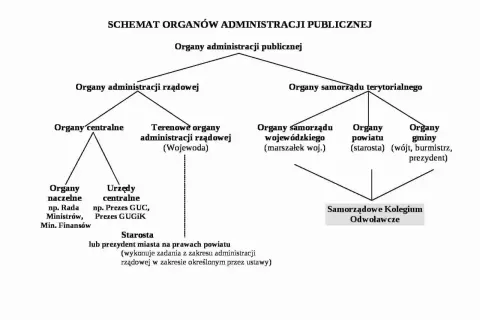 Czy sąd jest organem administracji publicznej? Odkryj kluczowe różnice