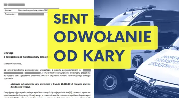 Jak skutecznie złożyć apelację co do kary i uniknąć błędów