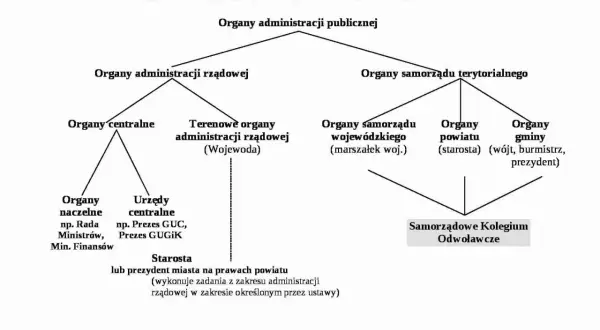Czy sąd jest organem administracji publicznej? Odkryj kluczowe różnice