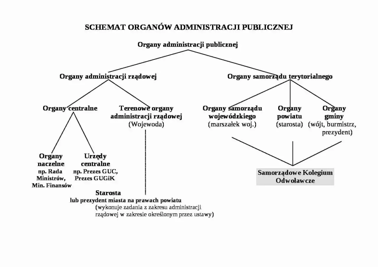 Czy sąd jest organem administracji publicznej? Odkryj kluczowe różnice