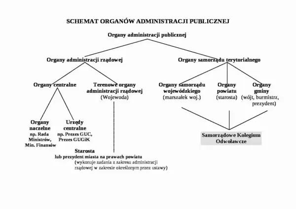 Czy sąd jest organem administracji publicznej? Odkryj kluczowe różnice